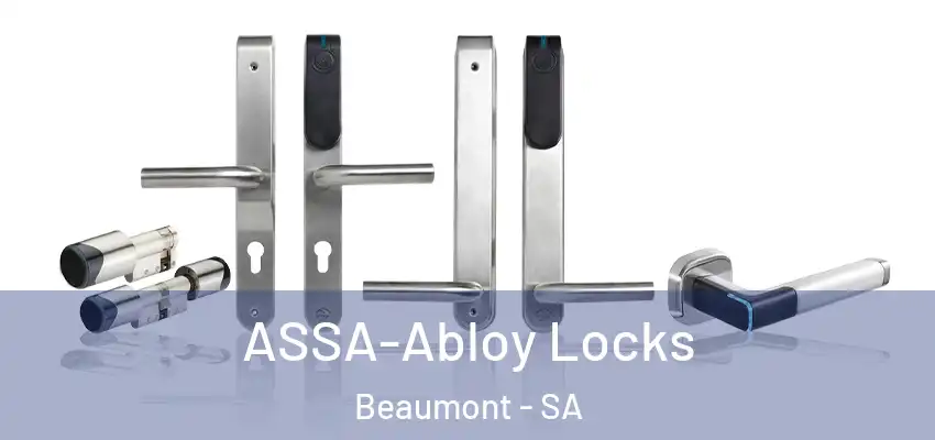  ASSA-Abloy Locks Beaumont - SA