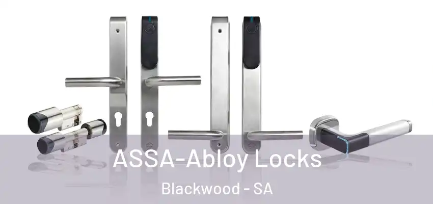 ASSA-Abloy Locks Blackwood - SA