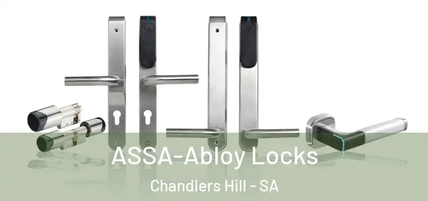  ASSA-Abloy Locks Chandlers Hill - SA