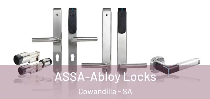 ASSA-Abloy Locks Cowandilla - SA