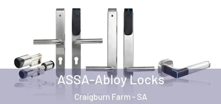  ASSA-Abloy Locks Craigburn Farm - SA