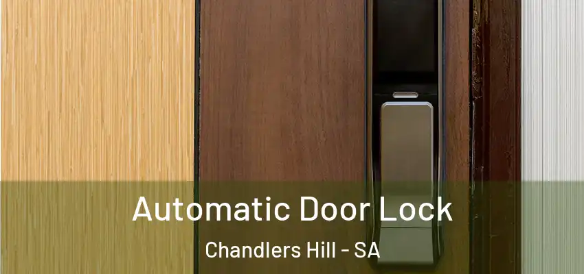 Automatic Door Lock Chandlers Hill - SA