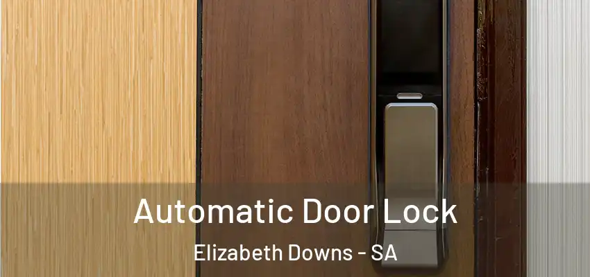 Automatic Door Lock Elizabeth Downs - SA