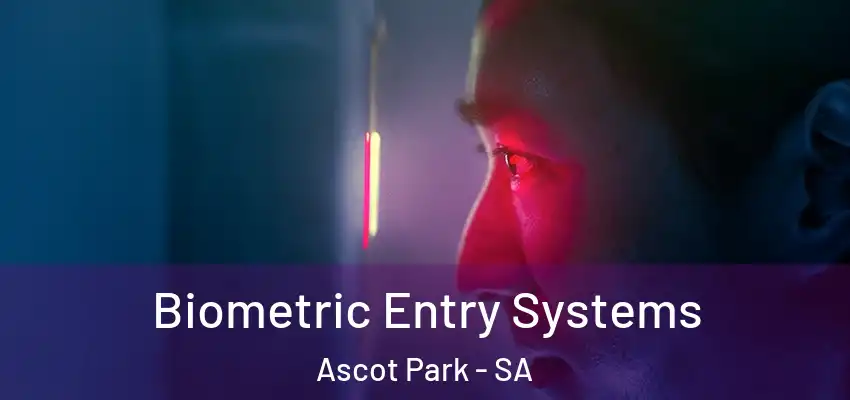 Biometric Entry Systems Ascot Park - SA