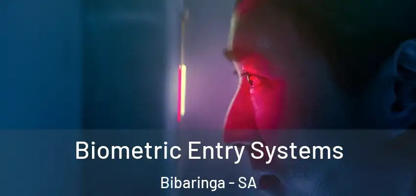 Biometric Entry Systems Bibaringa - SA
