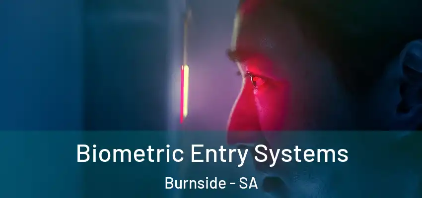 Biometric Entry Systems Burnside - SA