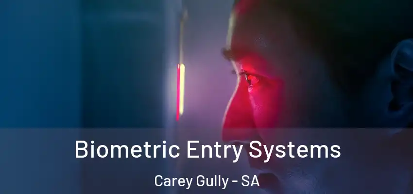 Biometric Entry Systems Carey Gully - SA