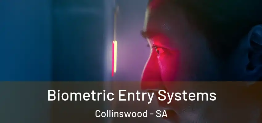Biometric Entry Systems Collinswood - SA
