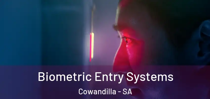 Biometric Entry Systems Cowandilla - SA