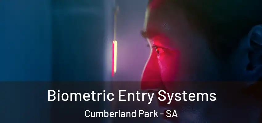 Biometric Entry Systems Cumberland Park - SA