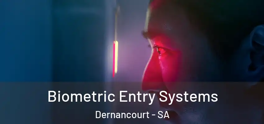 Biometric Entry Systems Dernancourt - SA