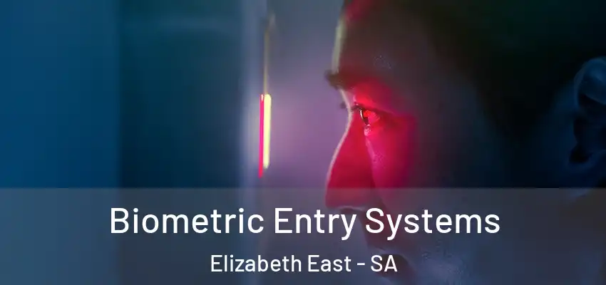 Biometric Entry Systems Elizabeth East - SA