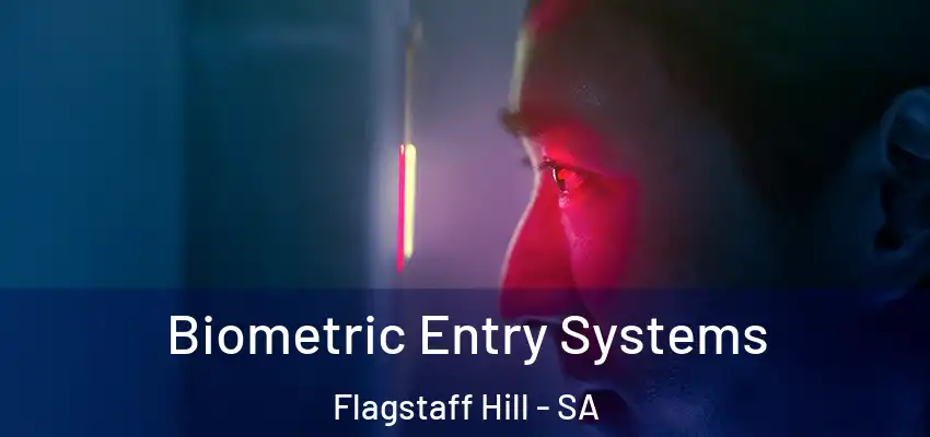Biometric Entry Systems Flagstaff Hill - SA