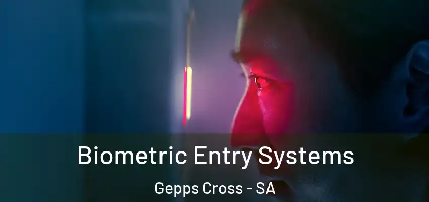 Biometric Entry Systems Gepps Cross - SA