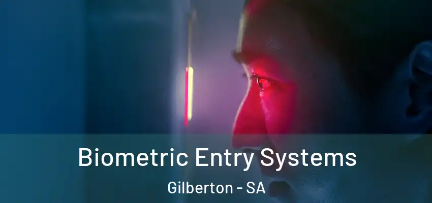 Biometric Entry Systems Gilberton - SA