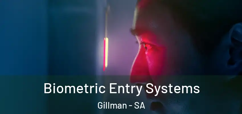  Biometric Entry Systems Gillman - SA