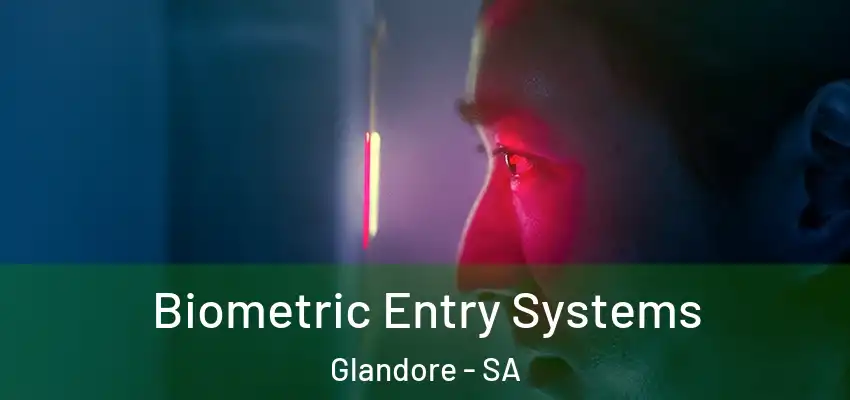  Biometric Entry Systems Glandore - SA