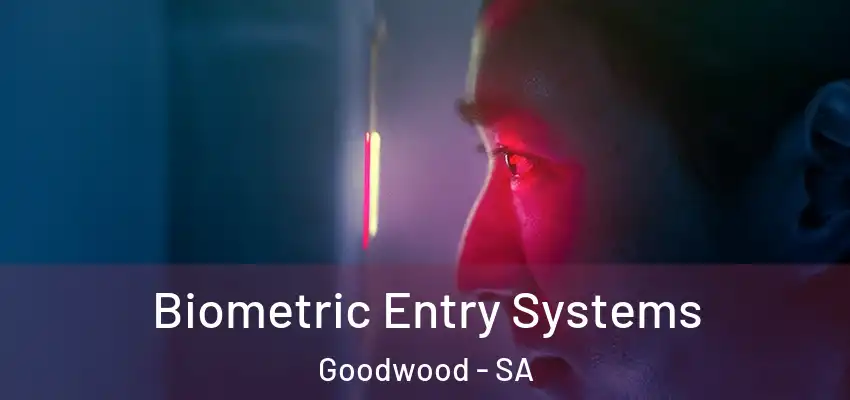  Biometric Entry Systems Goodwood - SA