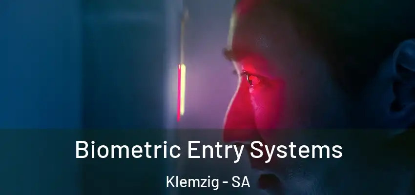 Biometric Entry Systems Klemzig - SA