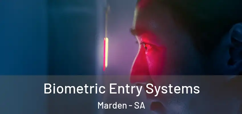 Biometric Entry Systems Marden - SA