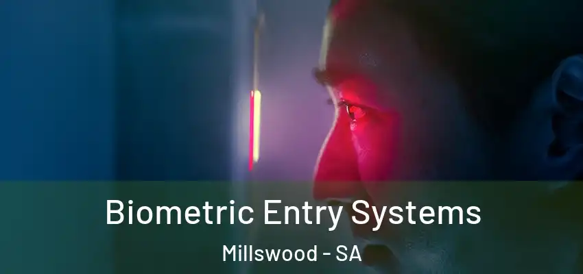 Biometric Entry Systems Millswood - SA