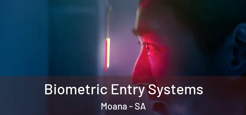  Biometric Entry Systems Moana - SA