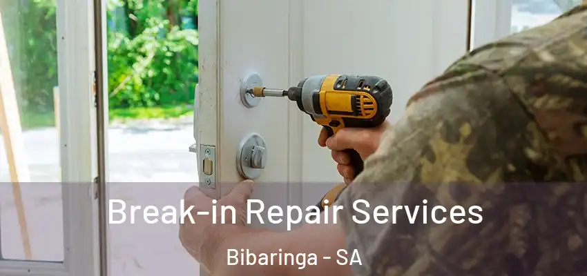 Break-in Repair Services Bibaringa - SA