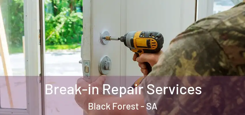 Break-in Repair Services Black Forest - SA