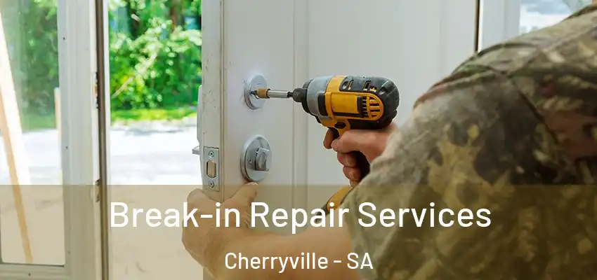 Break-in Repair Services Cherryville - SA