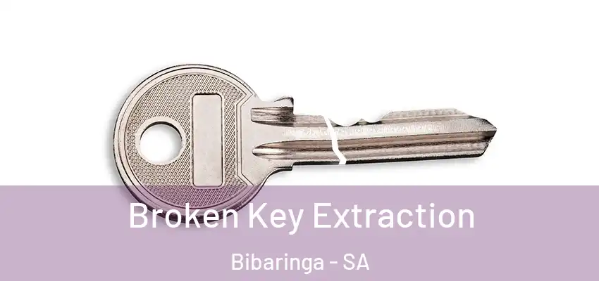  Broken Key Extraction Bibaringa - SA