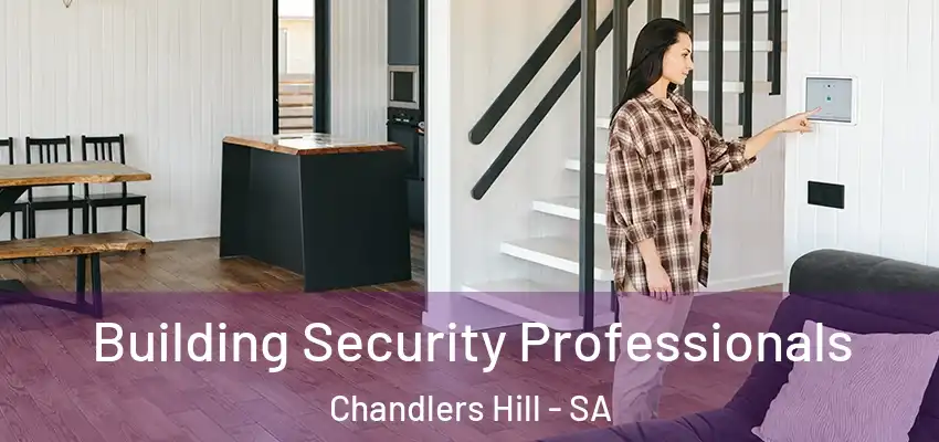 Building Security Professionals Chandlers Hill - SA