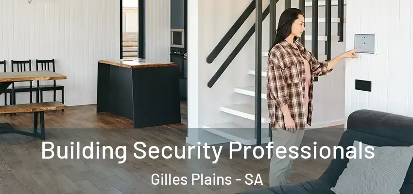 Building Security Professionals Gilles Plains - SA