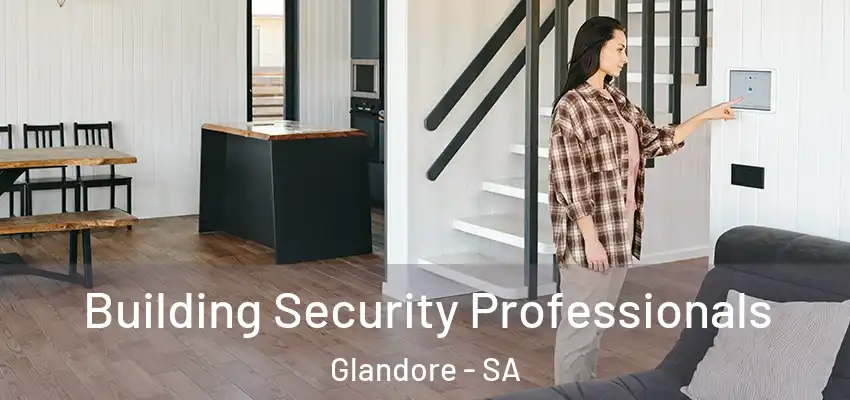 Building Security Professionals Glandore - SA