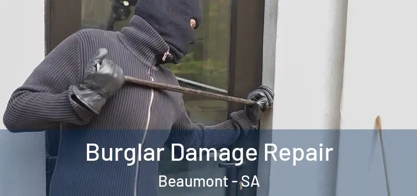 Burglar Damage Repair Beaumont - SA