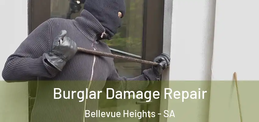 Burglar Damage Repair Bellevue Heights - SA