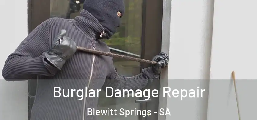 Burglar Damage Repair Blewitt Springs - SA