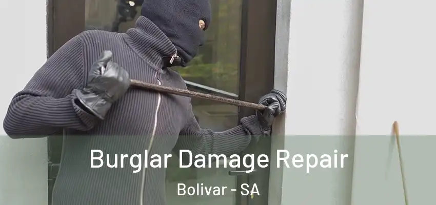 Burglar Damage Repair Bolivar - SA