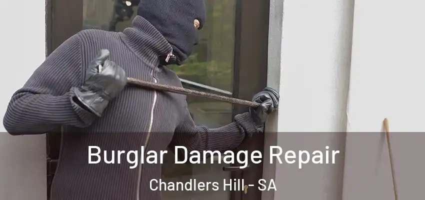 Burglar Damage Repair Chandlers Hill - SA
