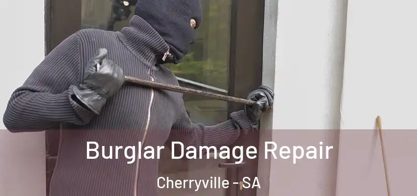 Burglar Damage Repair Cherryville - SA