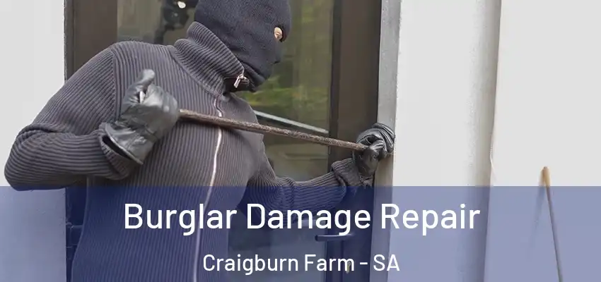 Burglar Damage Repair Craigburn Farm - SA