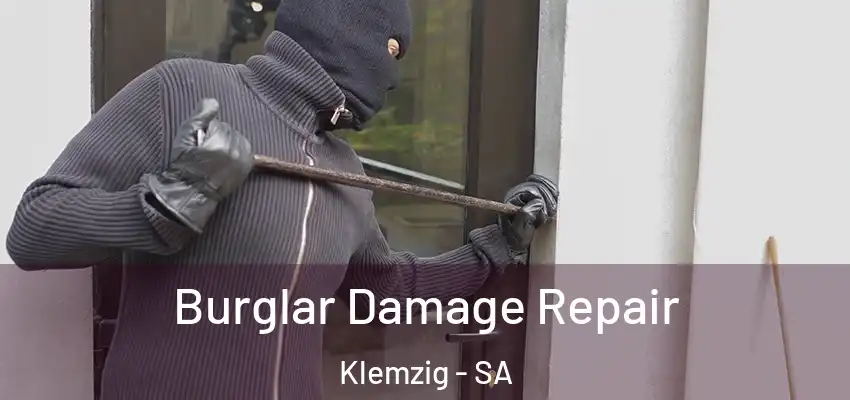 Burglar Damage Repair Klemzig - SA