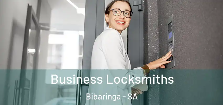 Business Locksmiths Bibaringa - SA