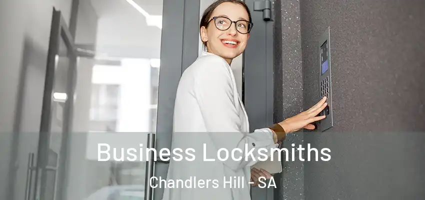  Business Locksmiths Chandlers Hill - SA