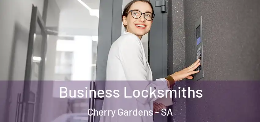 Business Locksmiths Cherry Gardens - SA