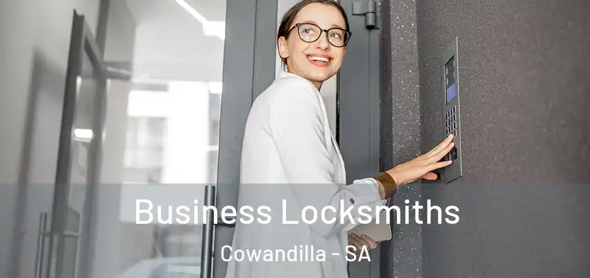 Business Locksmiths Cowandilla - SA