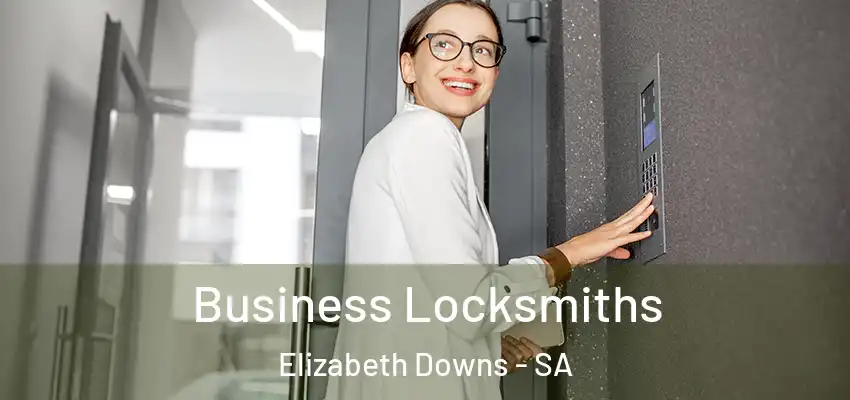 Business Locksmiths Elizabeth Downs - SA
