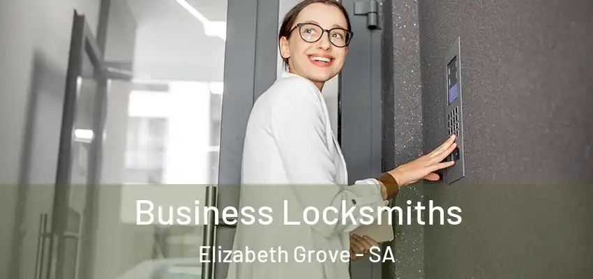 Business Locksmiths Elizabeth Grove - SA