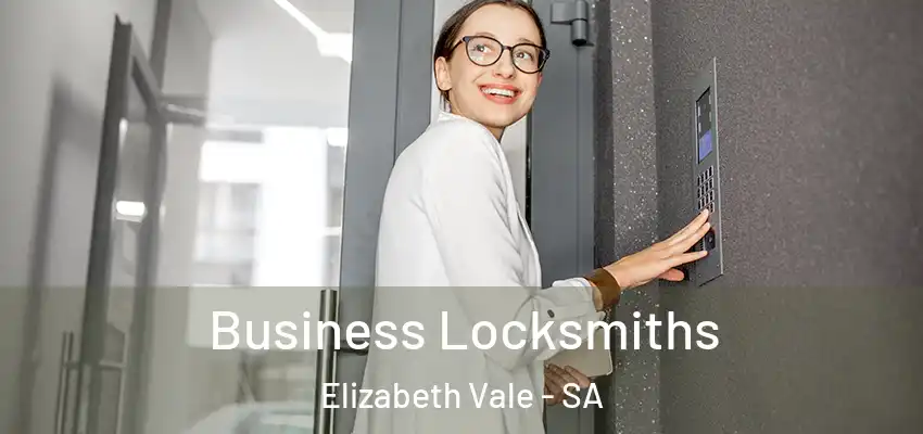 Business Locksmiths Elizabeth Vale - SA