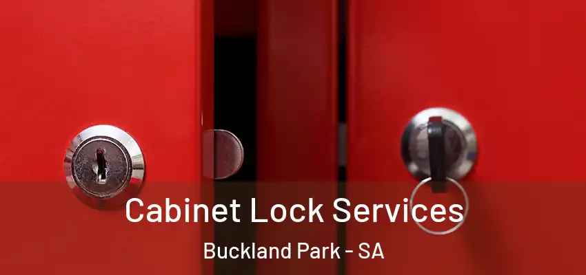 Cabinet Lock Services Buckland Park - SA