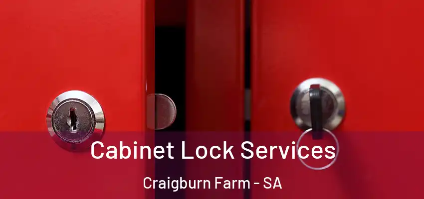  Cabinet Lock Services Craigburn Farm - SA
